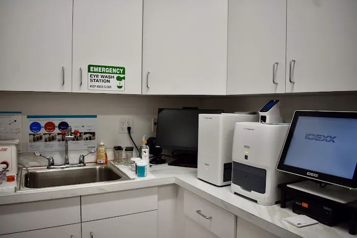 Lakeview Animal Hospital Picture 3