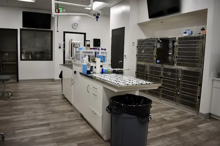 Lakeview Animal Hospital Picture 7