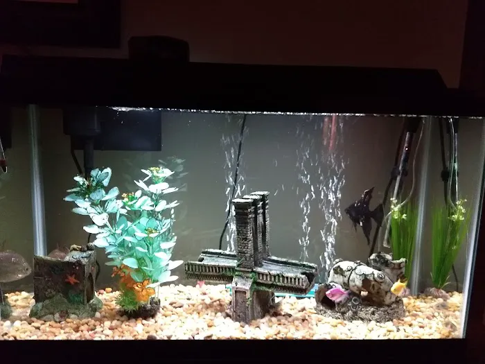 The Preferred Aquatics Collection Picture 2