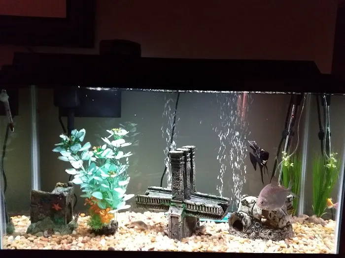 The Preferred Aquatics Collection Picture 3
