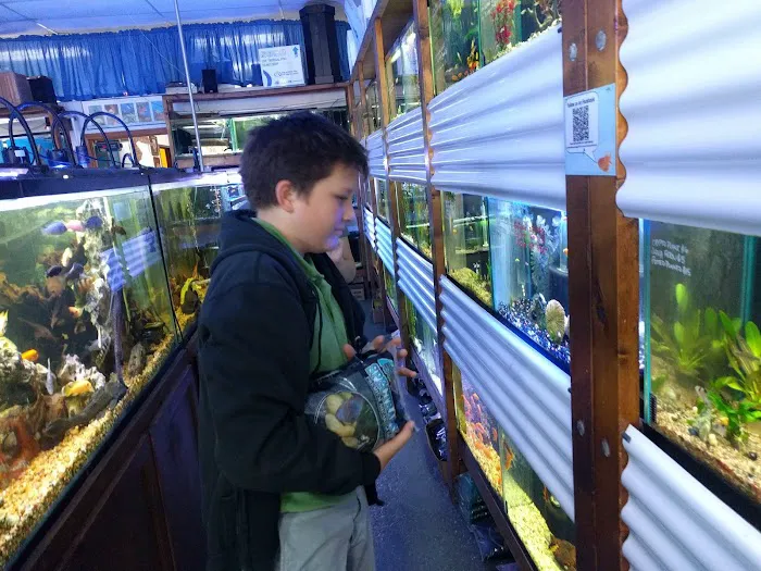 The Preferred Aquatics Collection Picture 4