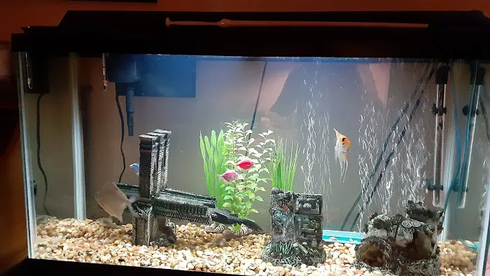 The Preferred Aquatics Collection Picture 6