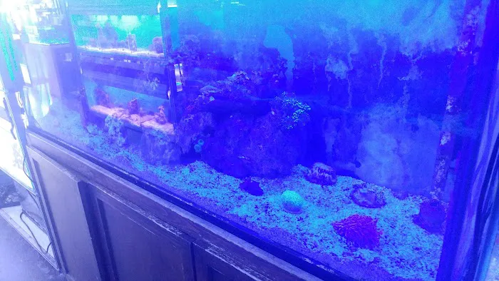 The Preferred Aquatics Collection Picture 7