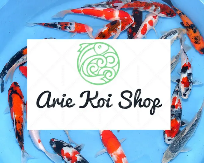 Arie Koi Shop Picture 8