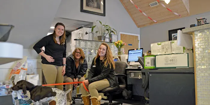Essex Middle River Veterinary Center Picture 1