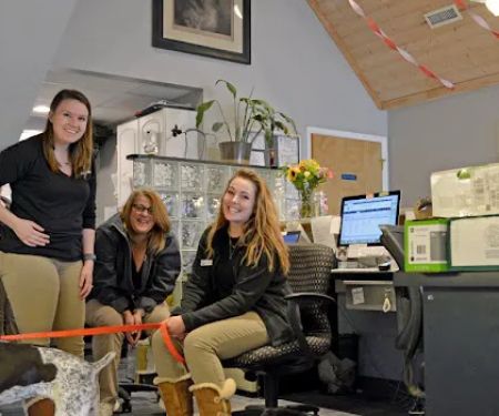 Essex Middle River Veterinary Center