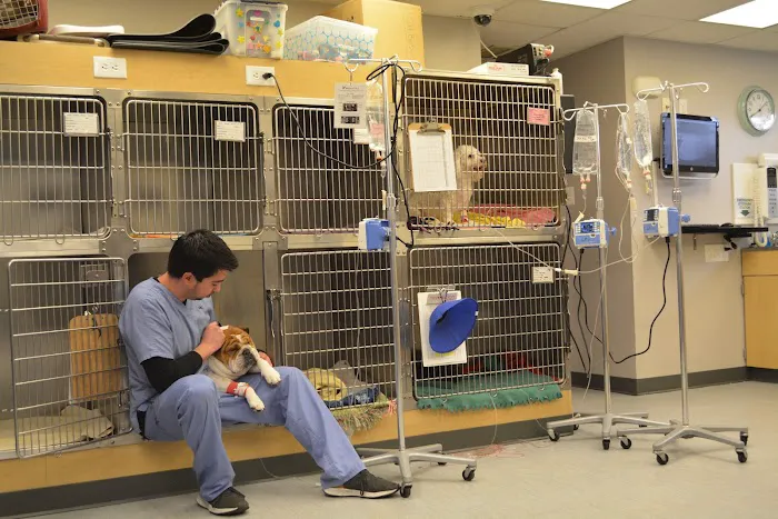 Essex Middle River Veterinary Center Picture 5
