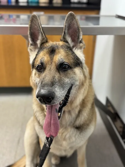 Essex Middle River Veterinary Center Picture 9
