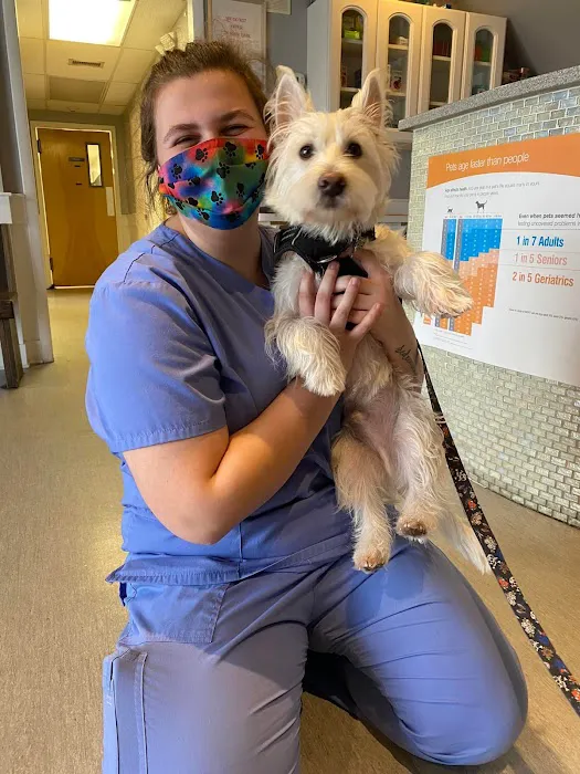 Essex Middle River Veterinary Center Picture 10