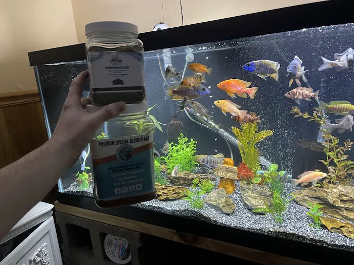 Cunningham Tropicals, LLC Picture 2