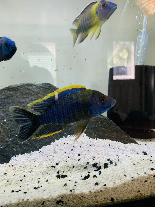 Cunningham Tropicals, LLC Picture 4