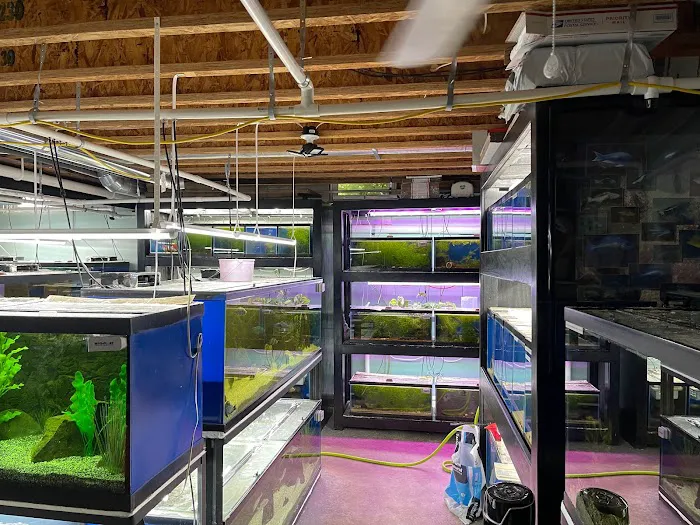 Cunningham Tropicals, LLC Picture 9