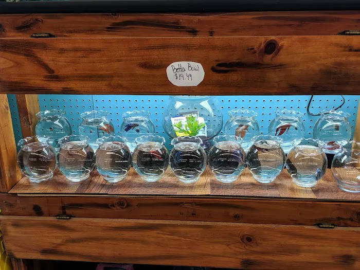 Feed Rite Pet Shop & Supply Picture 5