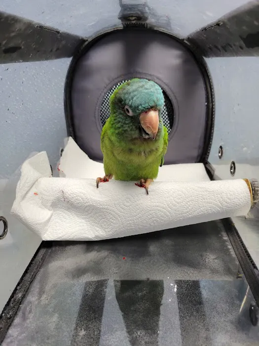 Academy Animal Hospital Picture 8