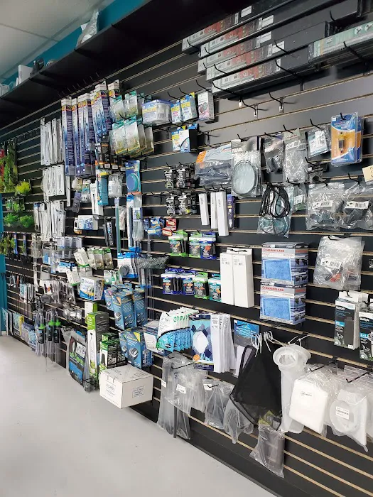 Clean Aquariums Picture 2