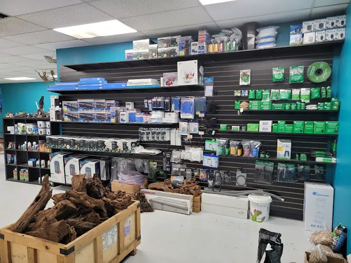 Clean Aquariums Picture 3