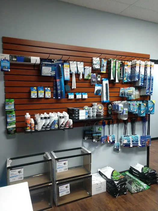 Clean Aquariums Picture 6