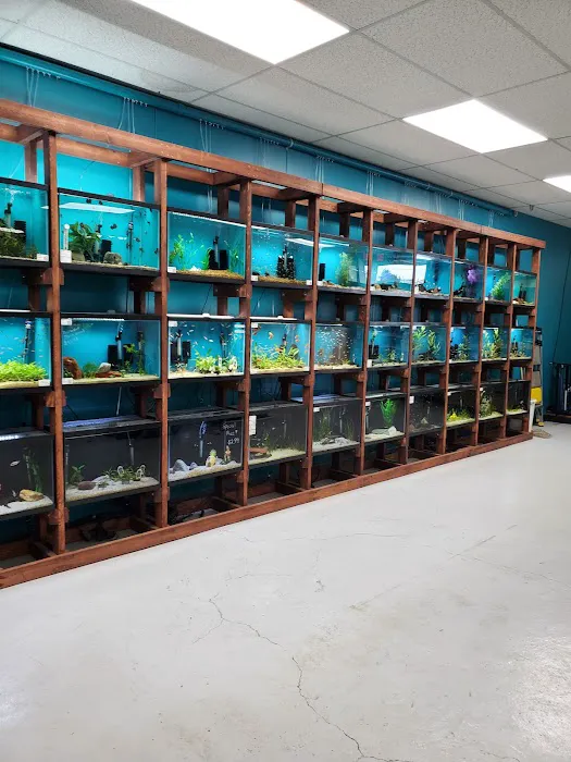 Clean Aquariums Picture 5
