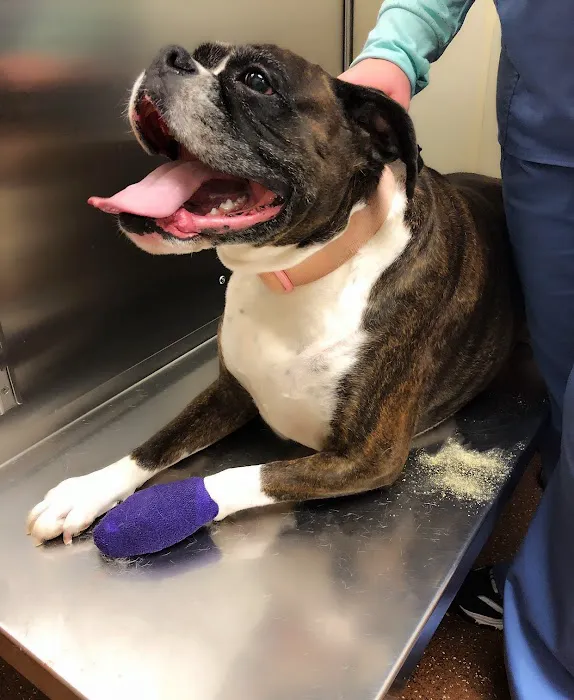 Northwest Animal Hospital Picture 6
