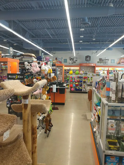 Premier Pet Supply Picture 2