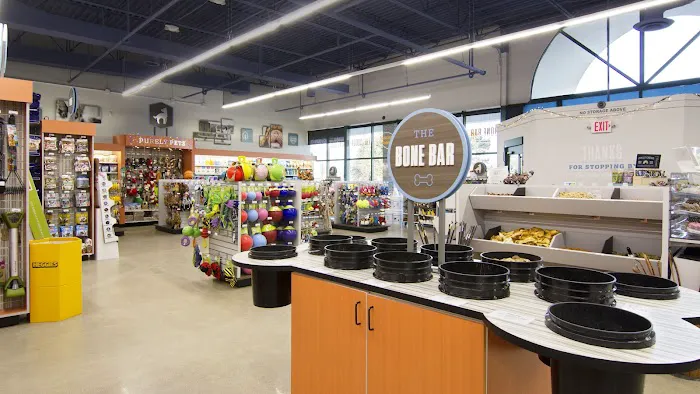 Premier Pet Supply Picture 4