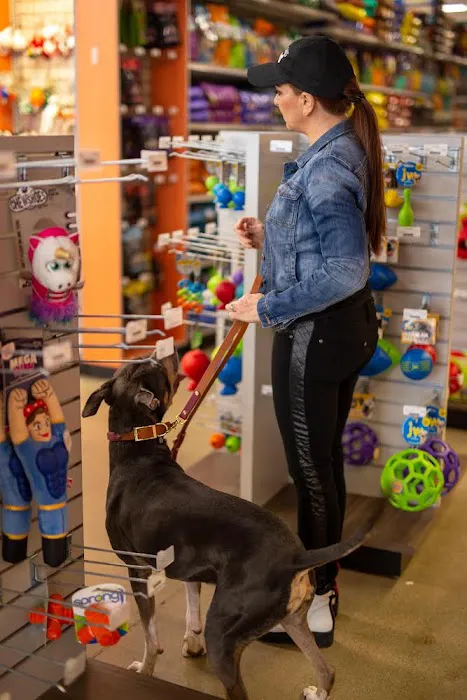 Premier Pet Supply Picture 7