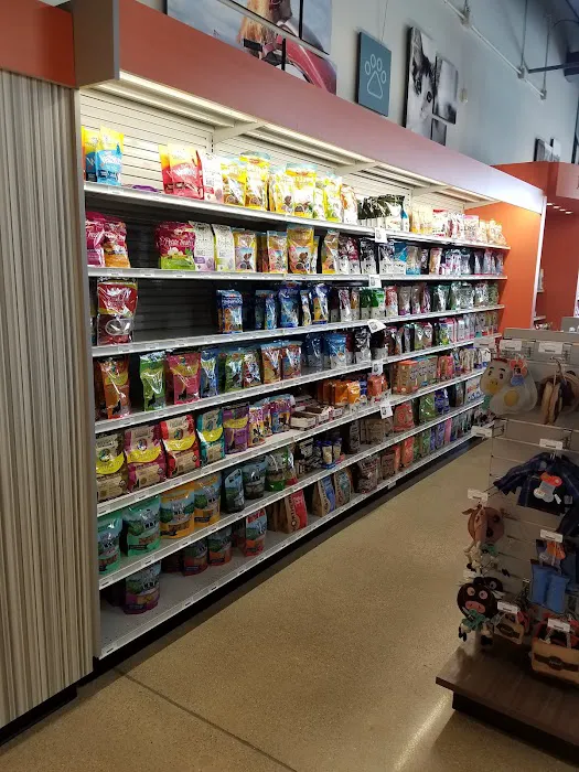 Premier Pet Supply Picture 6