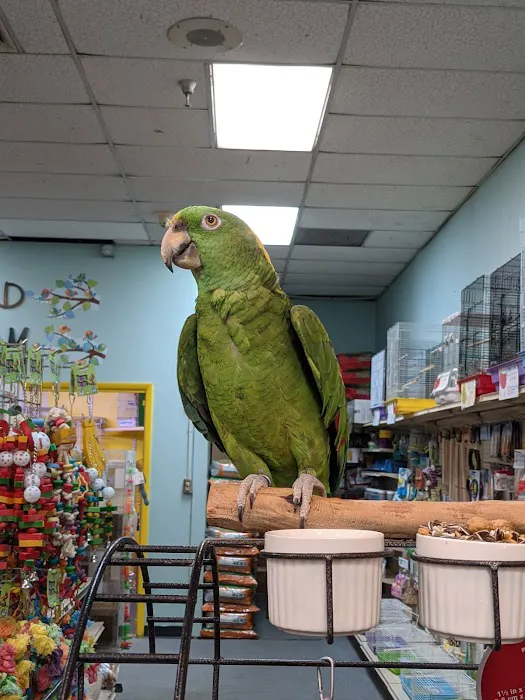 Kee's Aquarium & Pets Picture 2