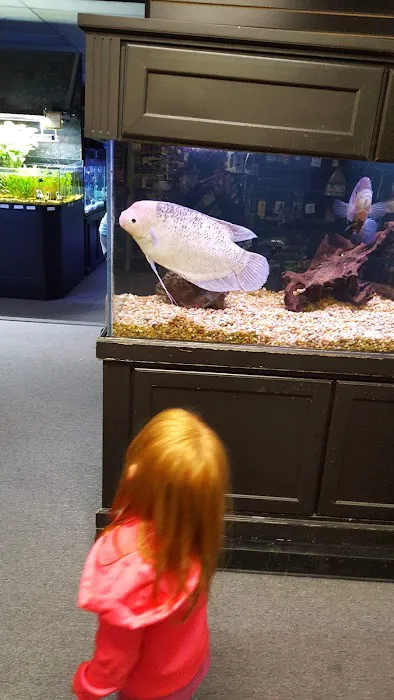 Kee's Aquarium & Pets Picture 10