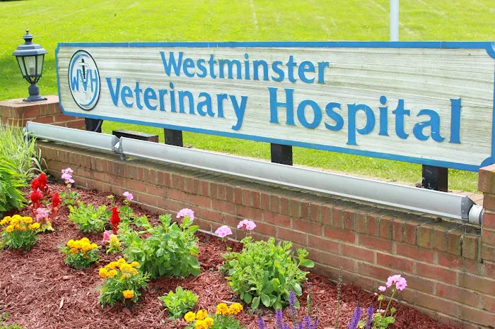 Westminster Veterinary Hospital Picture 2