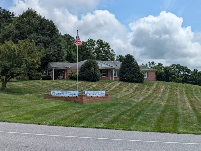 Westminster Veterinary Hospital Picture 3