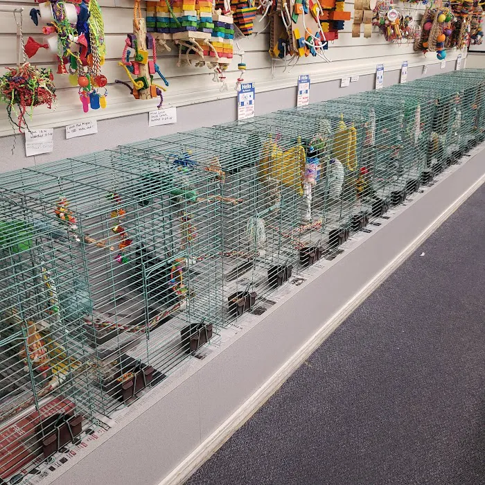 Chirping Friends Pets Picture 1