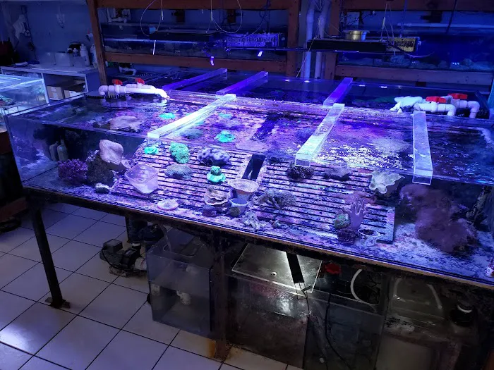 Aquarium Shine Picture 4