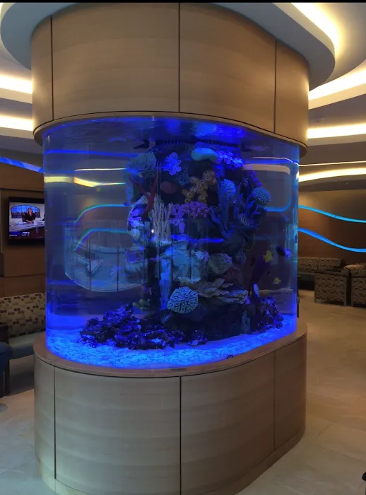 Aquarium Shine Picture 5