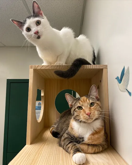Hoffman Animal Hospital Picture 2