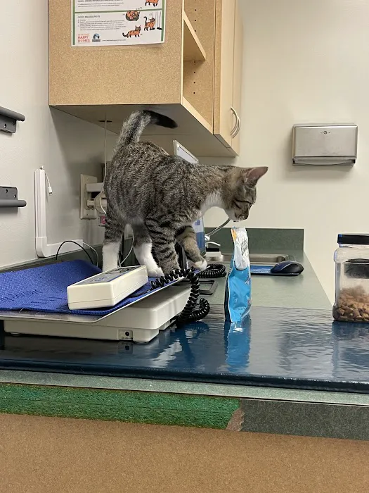 Hoffman Animal Hospital Picture 7