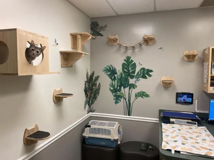 Hoffman Animal Hospital Picture 10