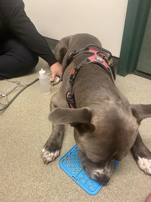 Hoffman Animal Hospital Picture 9