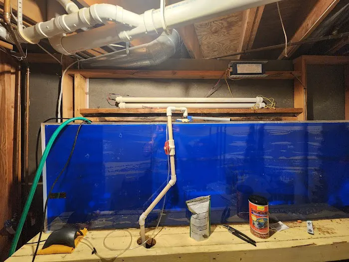Michigan Aquatics Picture 3