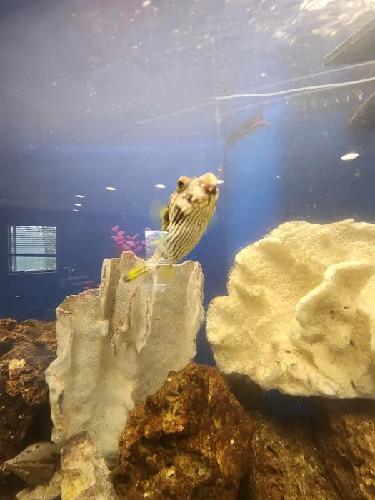 Michigan Aquatics Picture 9