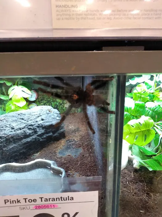 Petco Picture 1