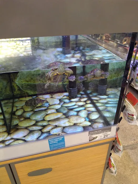 Petco Picture 3