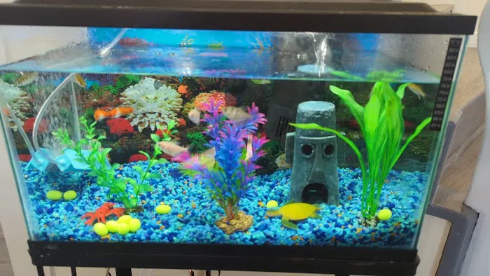 Petco Picture 8