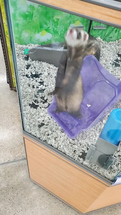 Petco Picture 10
