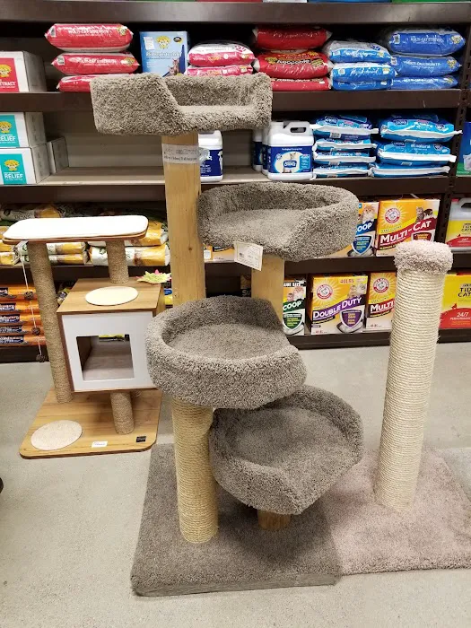 Premier Pet Supply Picture 4