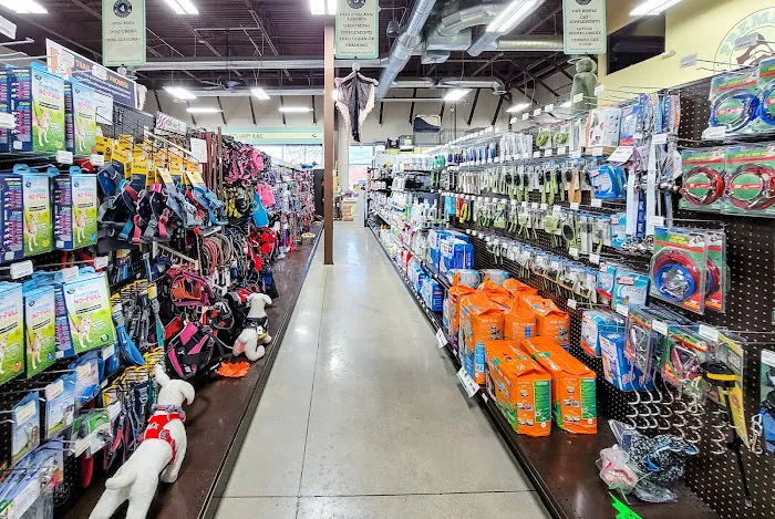 Premier Pet Supply Picture 9