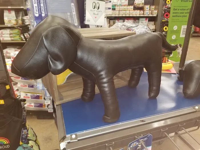 Petco Picture 4