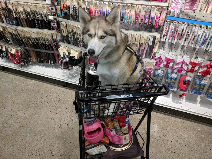 Petco Picture 5