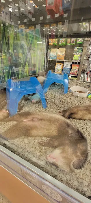Petco Picture 6