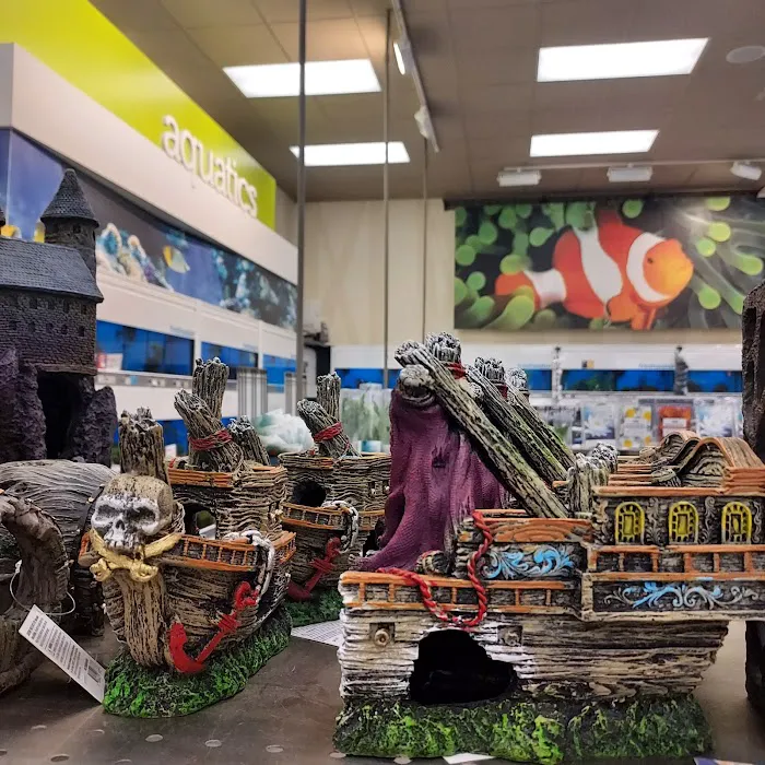 Petco Picture 9